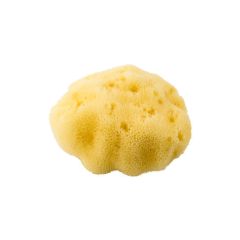 Luonnon merisieni kasvoille - Hieno silkki, kiinteä (13cm)