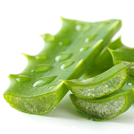 sobio_aloe_vera